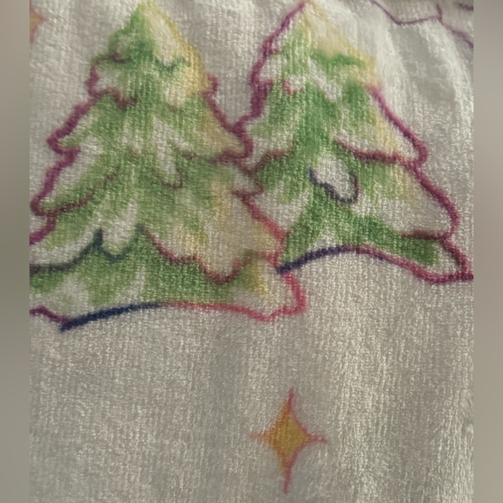 Christmas Winter CARE BEARS Super Soft Blanket Throw White 50x70 Viral NWT - Picture 3 of 4